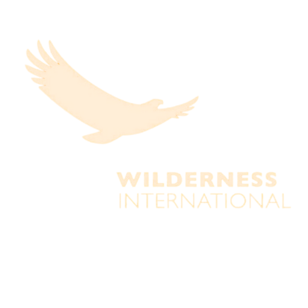 Wilderness International